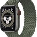 Apple Watch Edition Series 6