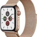 Apple Watch Series 5